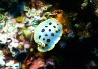 Marine Biology Pictures Painting