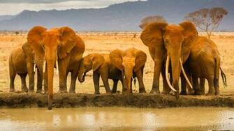 HD Africa Wallpaper For Desktop And Mobile