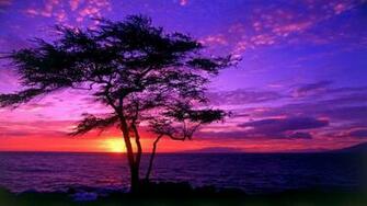 Hawaii Wallpaper Image