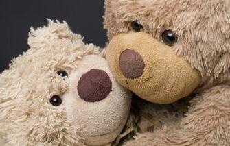 Wallpaper And Tagged Bears Plush Romance Teddy