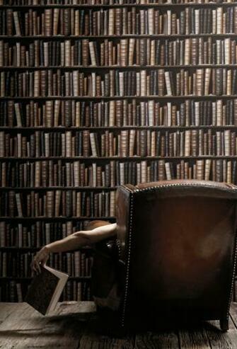 Bookcase Wallpaper The Green Head