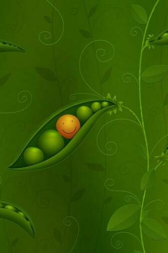 Creative Plants Closeup iPhone Wallpaper Background And