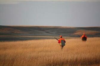 Pheasant Hunting Wallpaper Hunters Criss Cross A