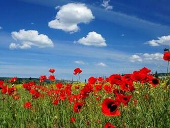 Spring Wallpaper Landscape X Background