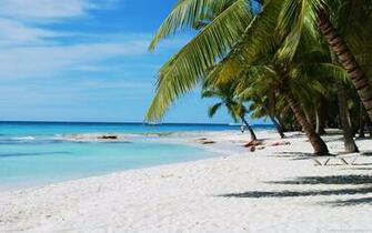 Coast Of Dominican Republic Wallpaper
