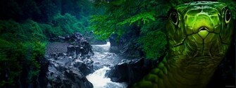 3d Anaconda HD Wallpaper Abstract