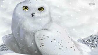 White Owl Wallpaper