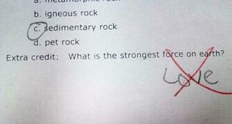 Children S Answers To Exam Questions Widescreen Wallpaper