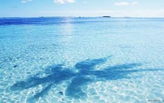 Nature Wallpaper Clear Water And Blue Sky
