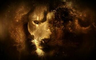 Colorful Lions Faces Wallpaper Lion