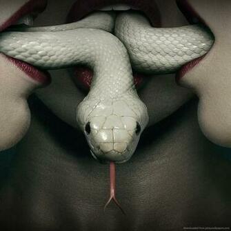 Search Results For American Horror Story Coven Wallpaper