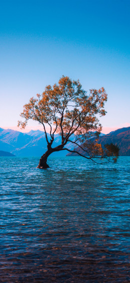 Lake Wanaka New Zealand Depth Effect Wallpaper Central