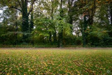 Autumn Park Background High Quality Background