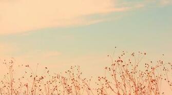 Soft Color Wallpaper