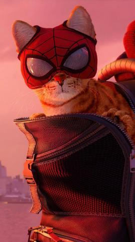 Spider Cat Man Miles Morales Game 4k Ultra HD Mobile