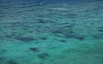 Blue Ocean Wallpaper