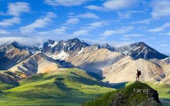 Bing Background Wallpaper HD