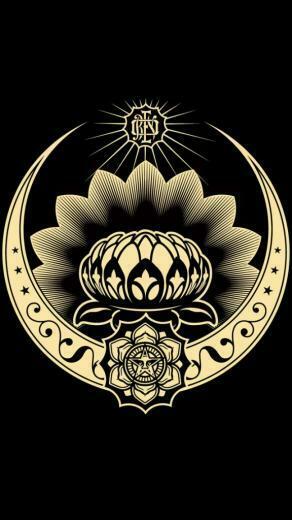 Shepard Fairey iPhone Wallpaper Iospop