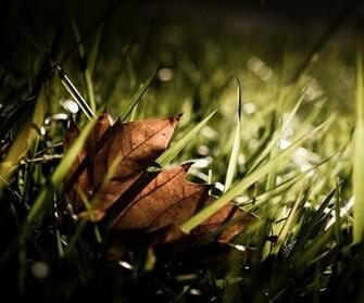 Android Tablet Forum Tab Wallpaper Hot HD