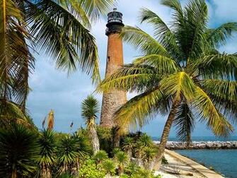 Miami Florida Nature Wallpaper Desktop