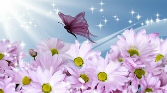 Summer Flower Wallpaper High Resolution WallartHD