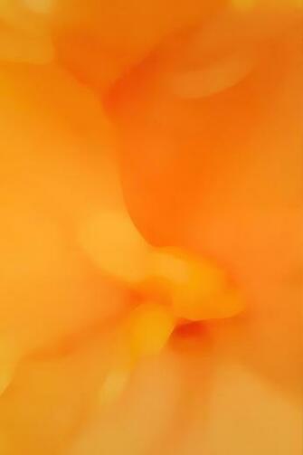 iPhone I Beautiful Impressive 3gs Wallpaper