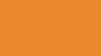 Orange Solid Color Background And The Below
