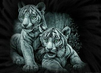 Tiger Wallpaper Best White