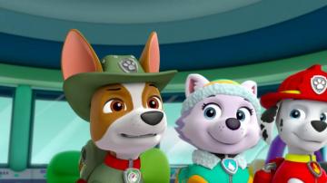 Tracker Paw Patrol Photo