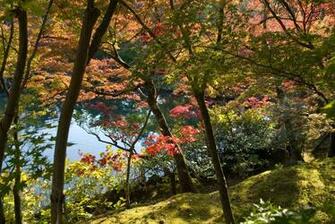 New England Fall Desktop Wallpaper In HD