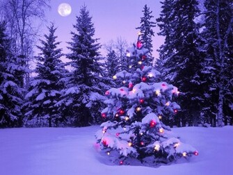 Christmas Light Displays Scene Wallpaper