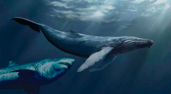 Carcharocles Megalodon Desktop Wallpaper Royalwallpaper Biz