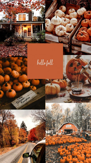 Cute Autumn Wallpaper