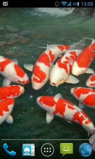 Magic Touch Koi Fish V1 Live Wallpaper Cantik Apk