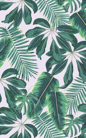 Mixed Tropical Leaves Wallpaper Mural Hovia Plantas De La