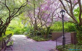 Central Park New York Spring Wallpaper