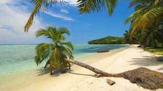 Tropical Paradise Wallpaper