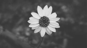 Computer Background Aesthetic Photography Black And