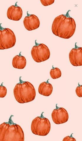 Pumpkin Pie
