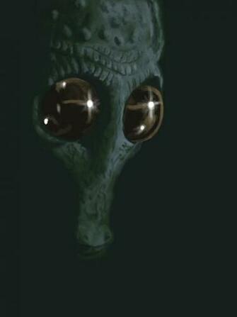 Han Shot First Greedo Speed Paint By Silverbackdesign