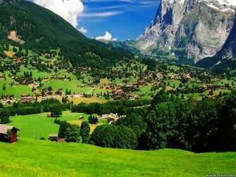 Best Wallpaper Natural Forest