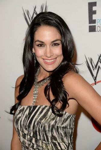 Brie Bella Wwe And E Ent