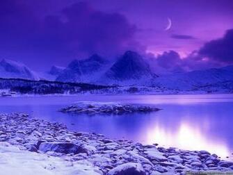 Winter Wallpaper