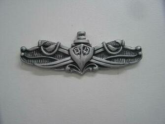 Warfare Insignias Wings And Other Things