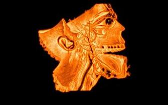 Wallpaper Best Size 3d Fire Skull
