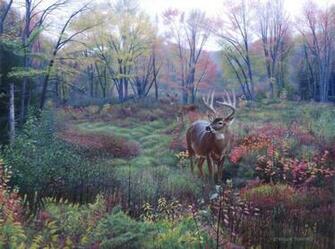 Whitetail Deer Background