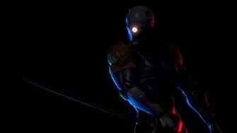 Gray Fox Wallpaper HD Quality Image