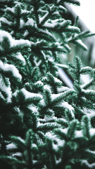X Winter Landscapes iPhone Wallpaper Collection Preppy