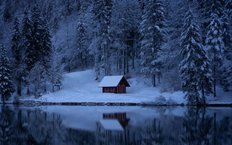 Wallpaper Lake Forest Snow Winter Trees