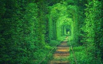 Green Background